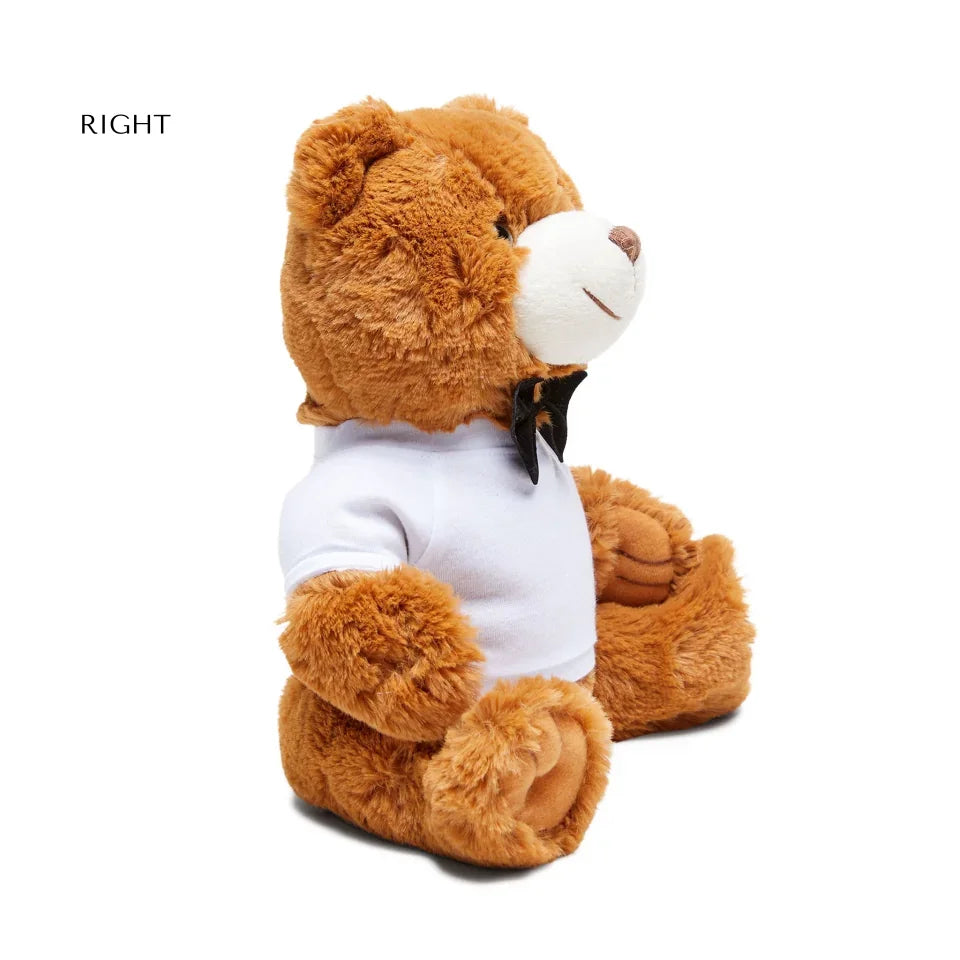 Teddy Bear with T-Shirt right