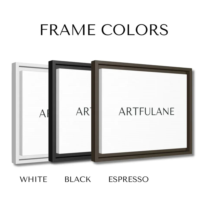 FRAME COLORS